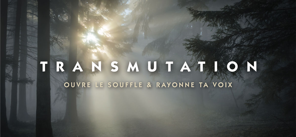 Bandeau-Trans-mutation-Mailchimp