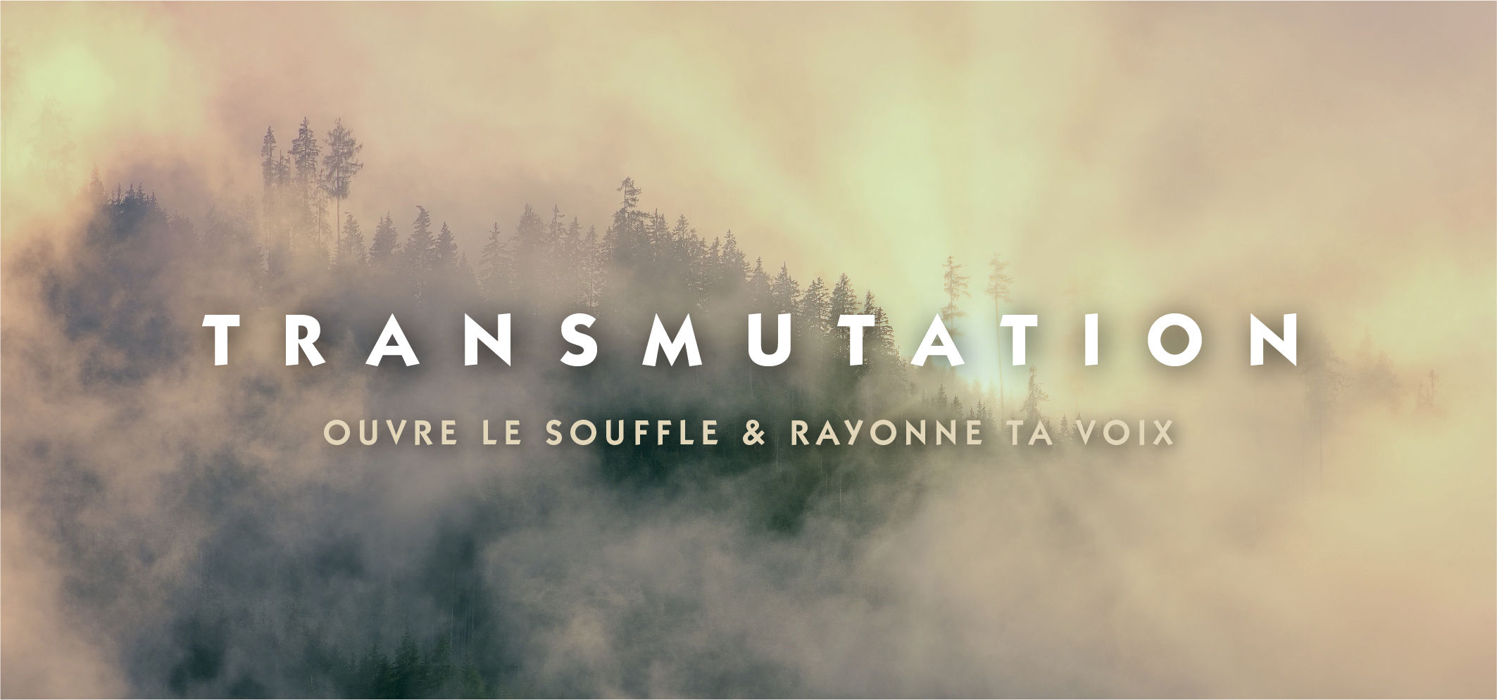 Bandeau Transmutation 3