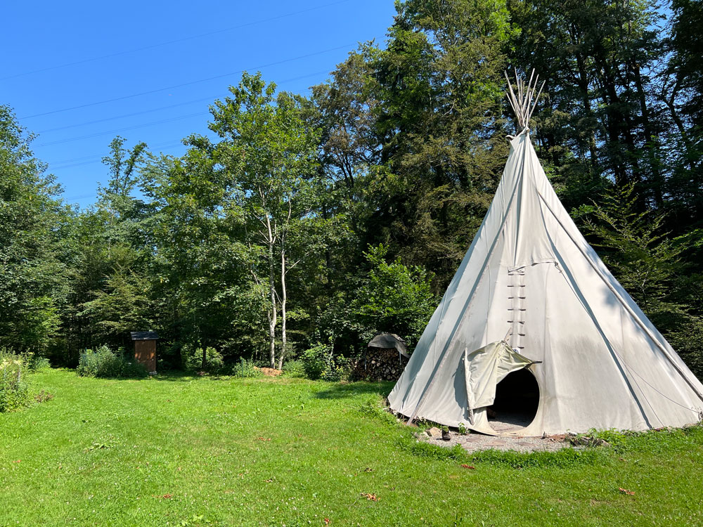 Tipi-Forel-2